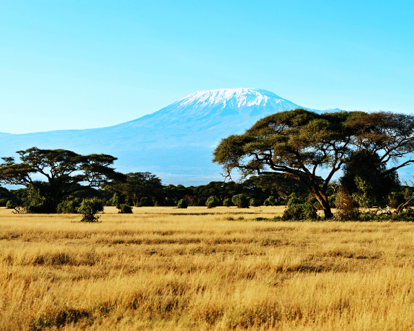 Africa